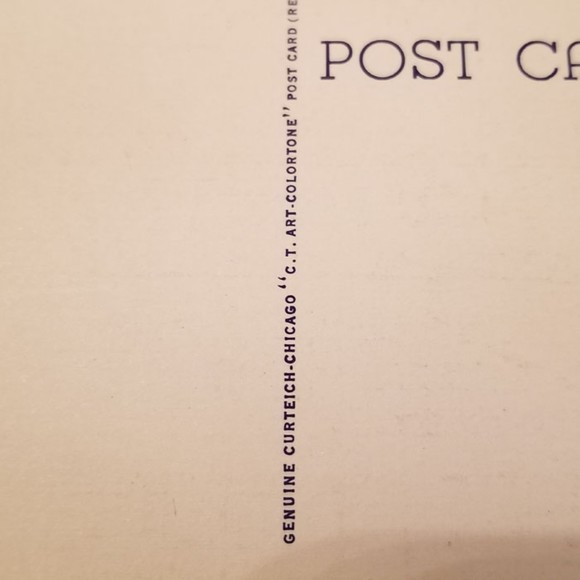 1950's Postcard TS33 Sponge Fleet in Harbor Florida - Picture 7 of 10